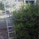 Ladder—WRONG!