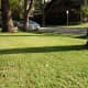 Without thinking, most people schedule their sprinkler systems to water flat turf, whether or not it's best for the other types of plantings there.