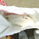 Place the skimmer cover in a plastic bag and wrap it tight to keep water out of skimmer during the off season.