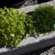 repurposed-garden-planters-inexpensive-ideas-for-indoor-outdoor-gardens