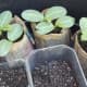 repurposed-garden-planters-inexpensive-ideas-for-indoor-outdoor-gardens
