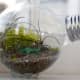 repurposed-garden-planters-inexpensive-ideas-for-indoor-outdoor-gardens