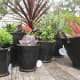 repurposed-garden-planters-inexpensive-ideas-for-indoor-outdoor-gardens