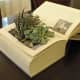 repurposed-garden-planters-inexpensive-ideas-for-indoor-outdoor-gardens