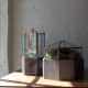repurposed-garden-planters-inexpensive-ideas-for-indoor-outdoor-gardens