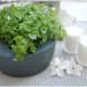 repurposed-garden-planters-inexpensive-ideas-for-indoor-outdoor-gardens