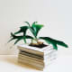 repurposed-garden-planters-inexpensive-ideas-for-indoor-outdoor-gardens