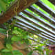 vertical-gardening-ideas-garden-trellis-for-vegetable-gardens