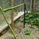 Bamboo and wire cucumber trellis
