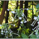 those-fragrant-flowers