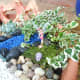 I used a roll of carpet moss to cover any exposed dirt.