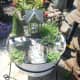 Fairy garden ideas.