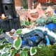Miniature fairy garden ideas. Close ups.