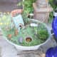 Fairy garden ideas.