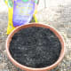 Cover the gravel with good quality potting soil. Leave about one inch between the edge of the container and the top layer of soil.