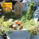 Fairy garden ideas.