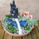 My miniature fairy garden.
