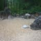 My favorite aspect of the Zen garden and dry garden is looking over the stones to a natural background.