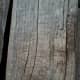 Red Oak exposed grain. I can always tell that a piece of firewood is oak because of the faint horizontal lines that run against the grain.