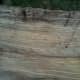 Exposed grain of White Ash