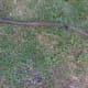 mowing-with-a-scythe