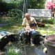Spring cleaning - pond with liner ("flower pot" to right is actually a pond filter).