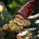 history-of-the-garden-gnome