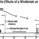 Windbreak