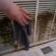 After sanding down the rust, clean vents with damp cloth.