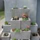 More concrete brick planters, arranged in formation. Once the succulents get bigger, these will look quite nice.