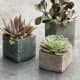 Concrete bricks and tubes make great succulent planters.