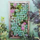 The latest trend in succulent planters is wall planters like this one. Ideal for gardens with little space!