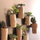 For guests only - mini cork planters (with fridge magnets attached). Repot these frequently.