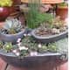 Placing pots within pots in order to created a layered garden is a great idea when short on space outside.