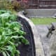 Drainage pipe leading towards pond, with a gentle downward slope.
