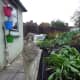 Drainage pipe laid in trench down length of vegetable plot.