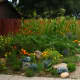 designing-a-color-palette-for-your-edible-landscape