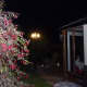 Street lamp from reclamation yard later fitted to corner of the conservatory’s decking.