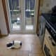 Floor in front of backdoor tiled with tiles recycled from the old doorstep.