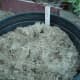 Prepared Growing Medium