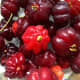 Dark red fruits taste sweeter.