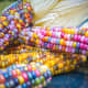 Glass Gem corn.