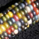 Glass Gem corn.