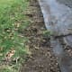 protect-building-foundations-by-rainscaping
