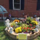 Our Fall Garden