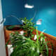 Vogek Grow Light