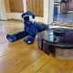 Roborock S6 MaxV maneuvering around plush Blue Jays mascot 