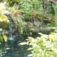 Koi pond on Halliday property