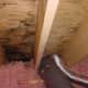 Bathroom vent discharging into the soffit, and causing mold growth