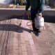 Heating the finished roof repair job with a weed burner to help quick sealing.